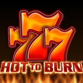 Official Slots logo: Hot To Burn by Pragmatic Play at Tuohi Casino
